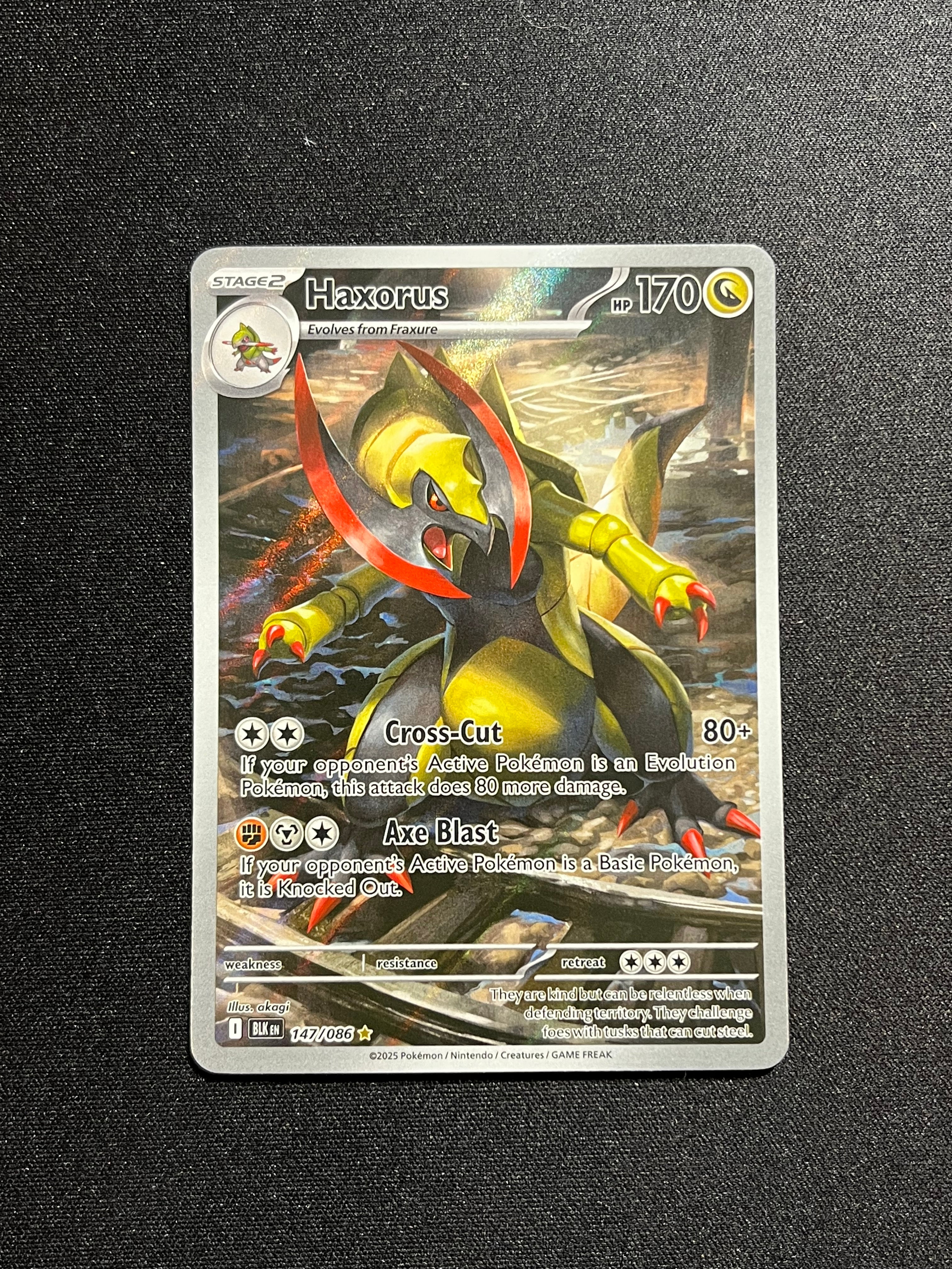 Haxorus Illustration Rare (147)