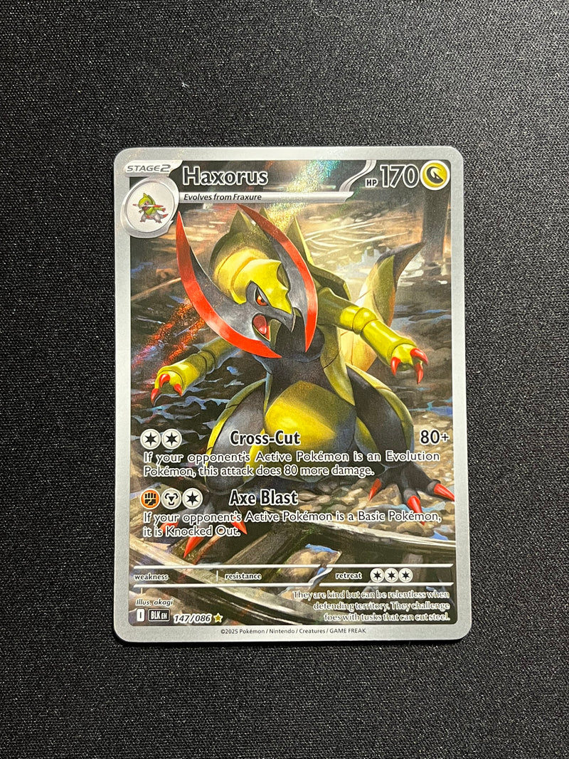 Haxorus Illustration Rare (147)