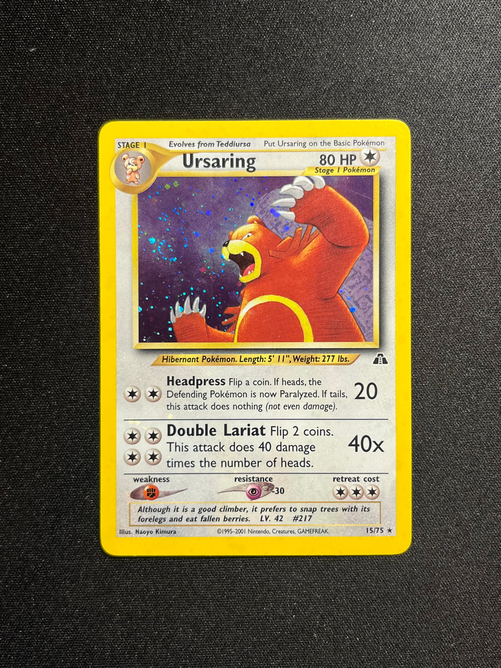 Ursaring Holo (15)