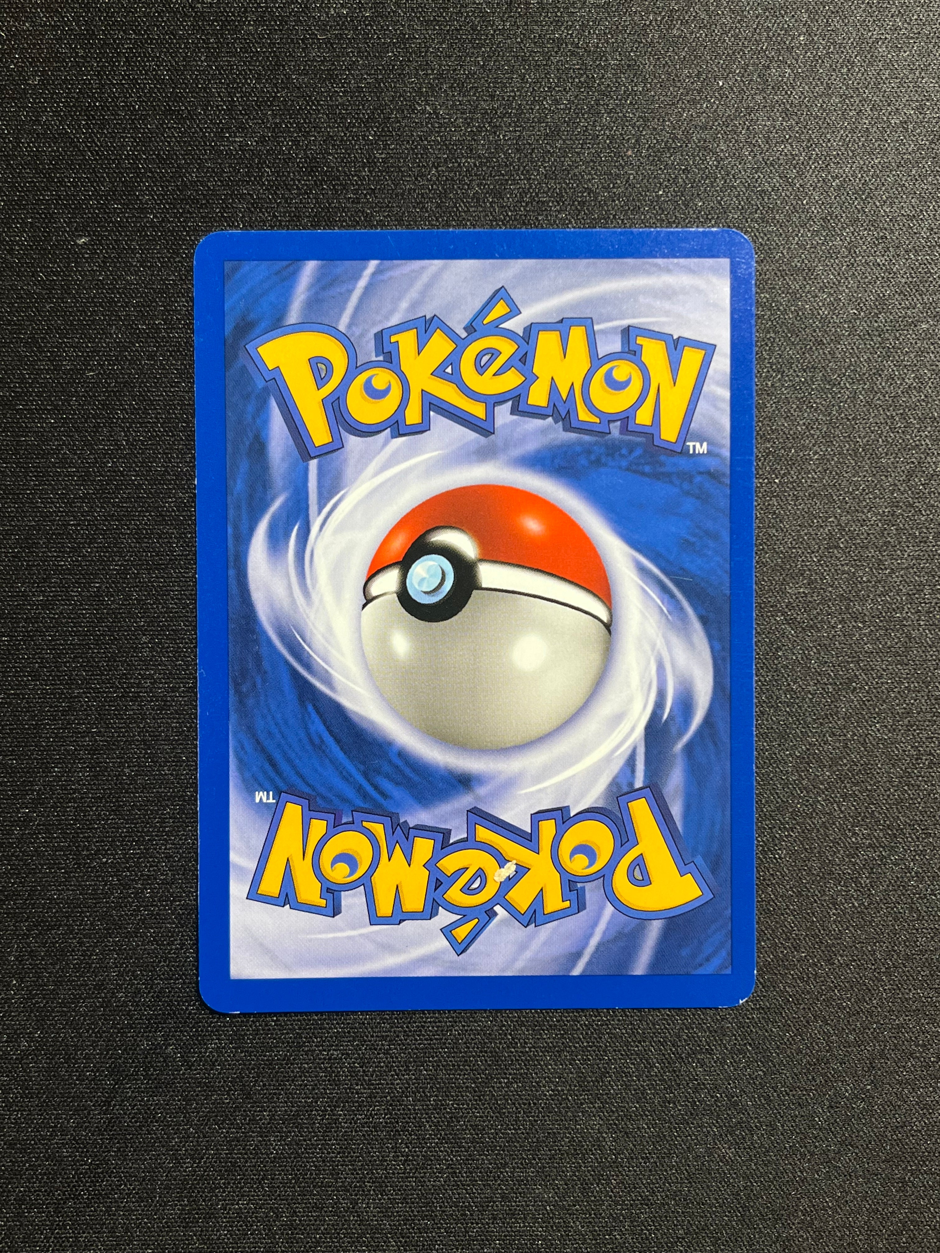 Ursaring Holo (15)