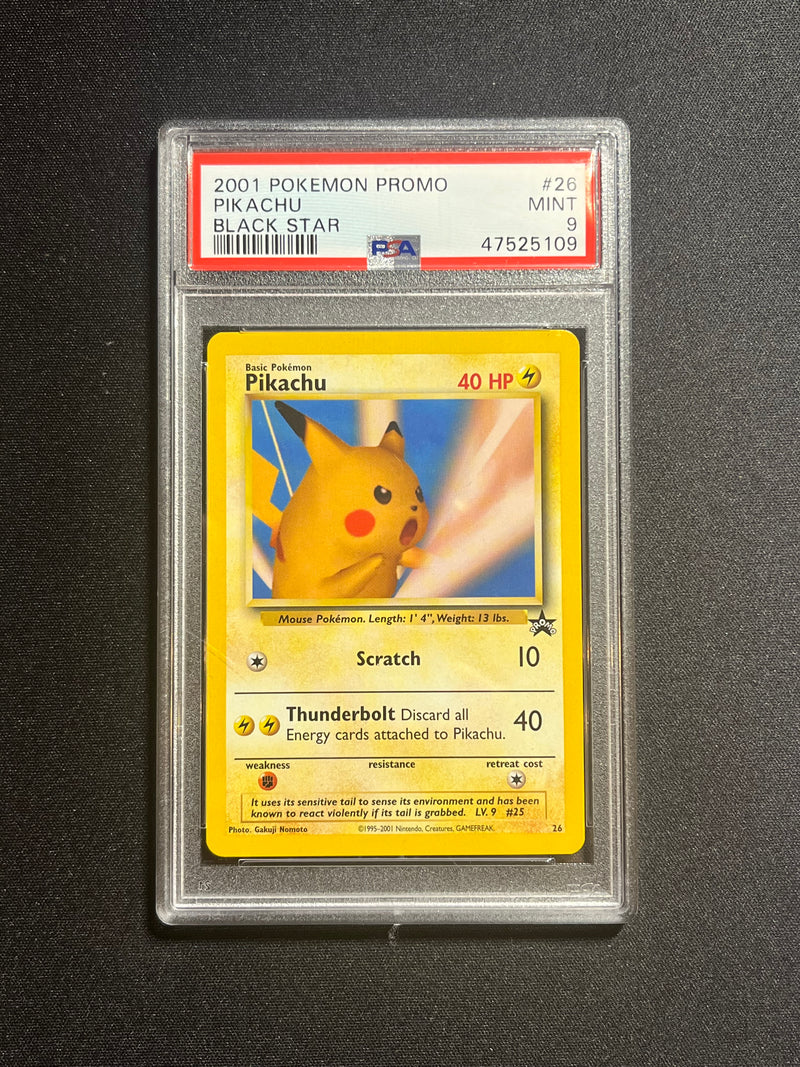 Pikachu (26)