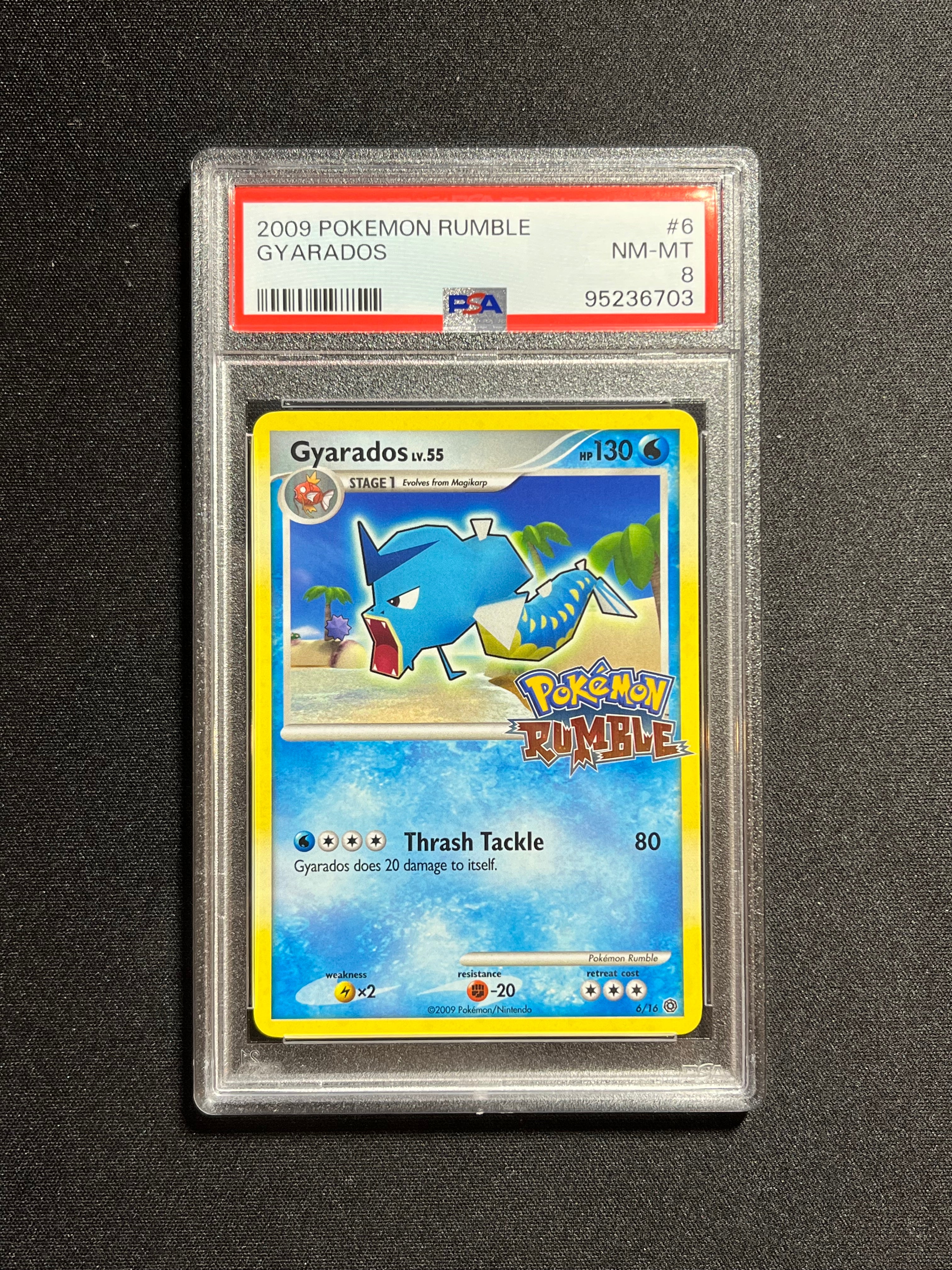Gyarados (6)