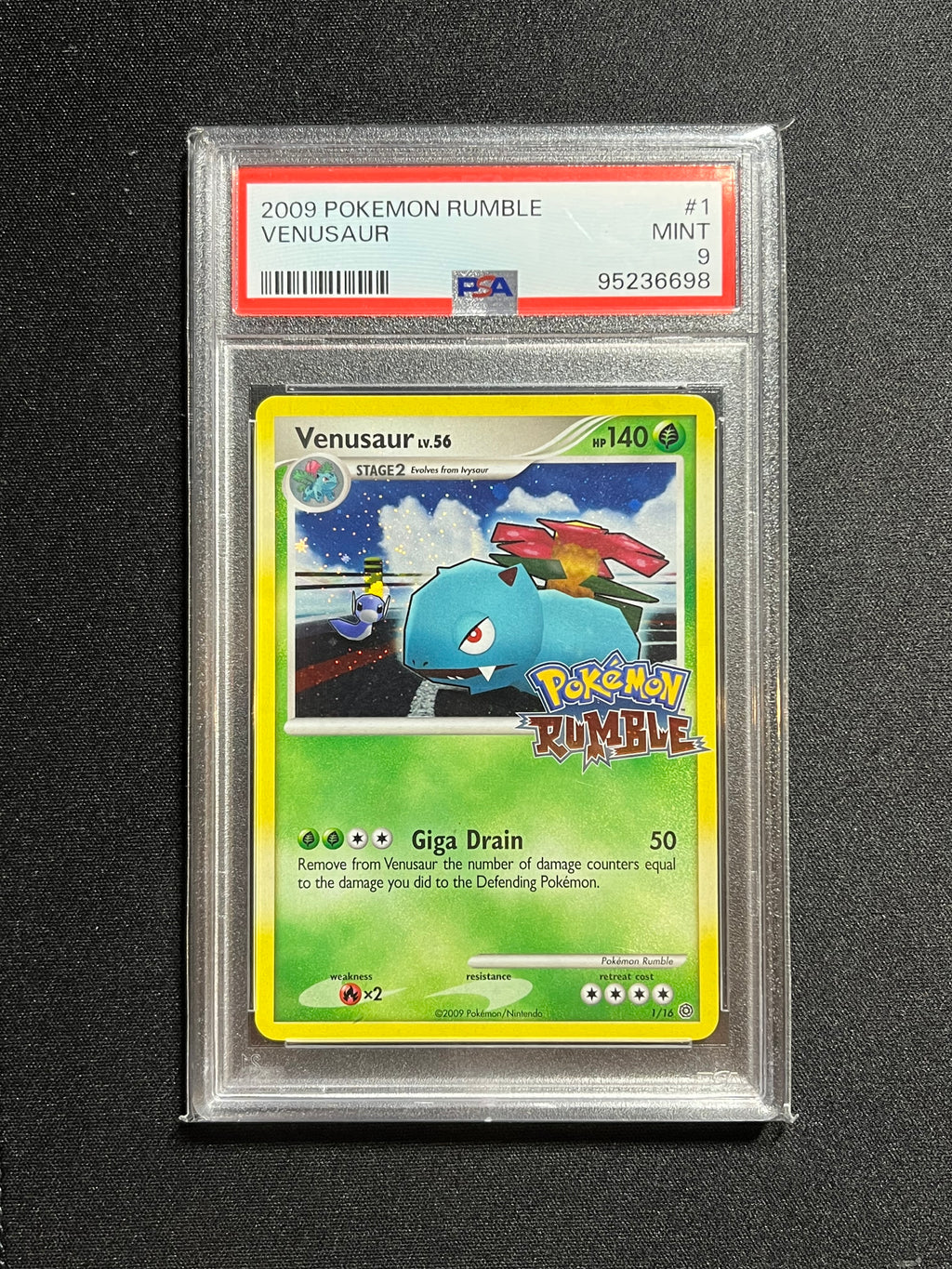 Venusaur Holo (1)