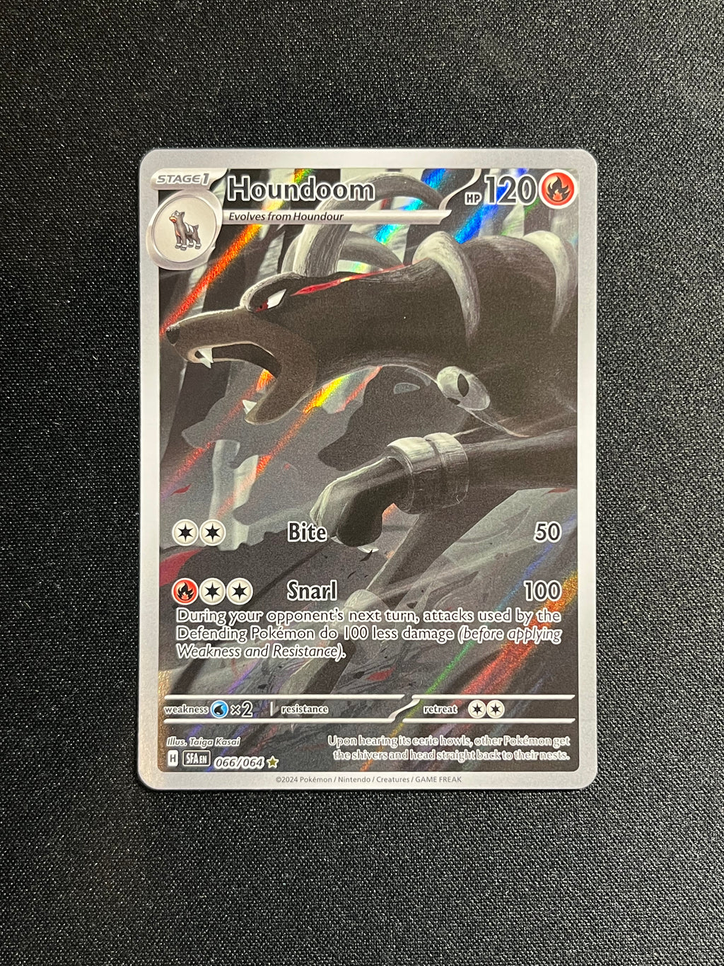 Houndoom IR (066)