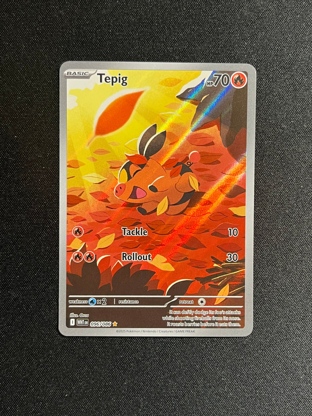 Tepig Illustration Rare (096)